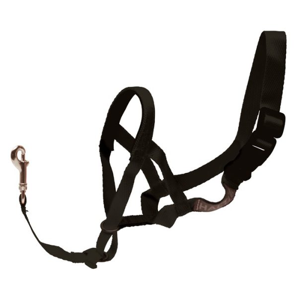 Halti Optifit Headcollar - Image 2