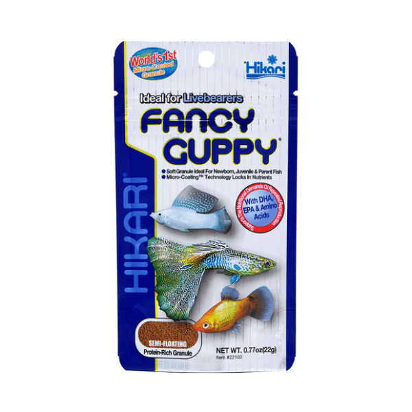 Hikari Fancy Guppy