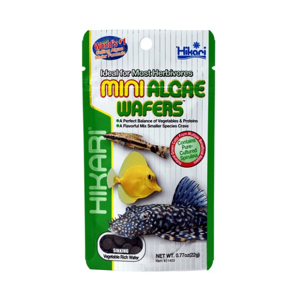 Hikari Mini Algae Wafers